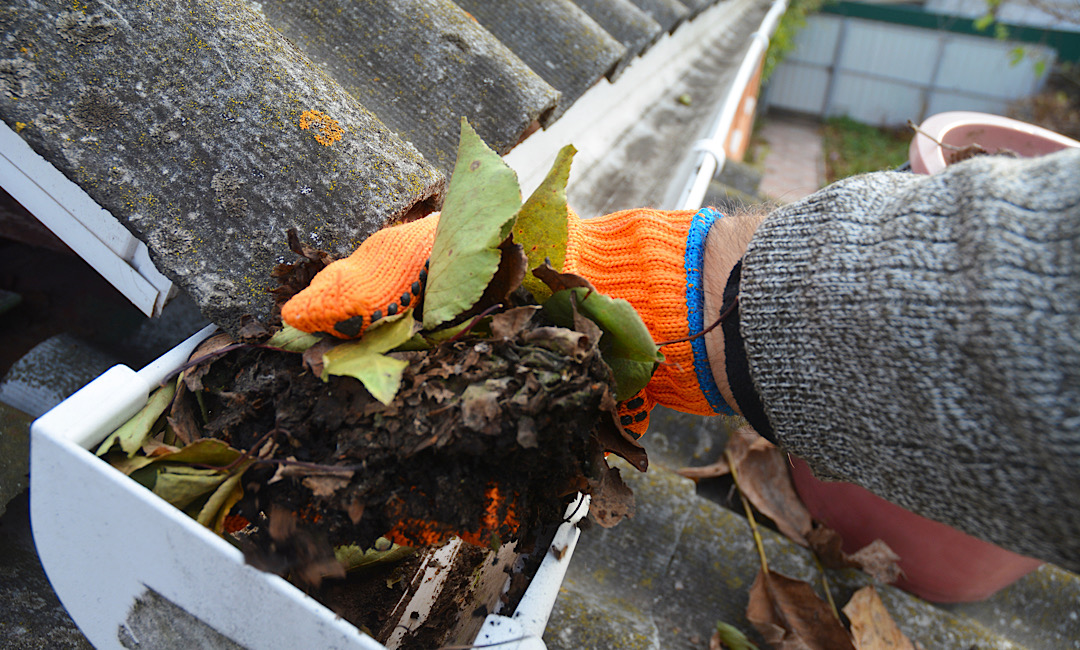 Gutter Cleaning in La Vernia and San Antonio TX