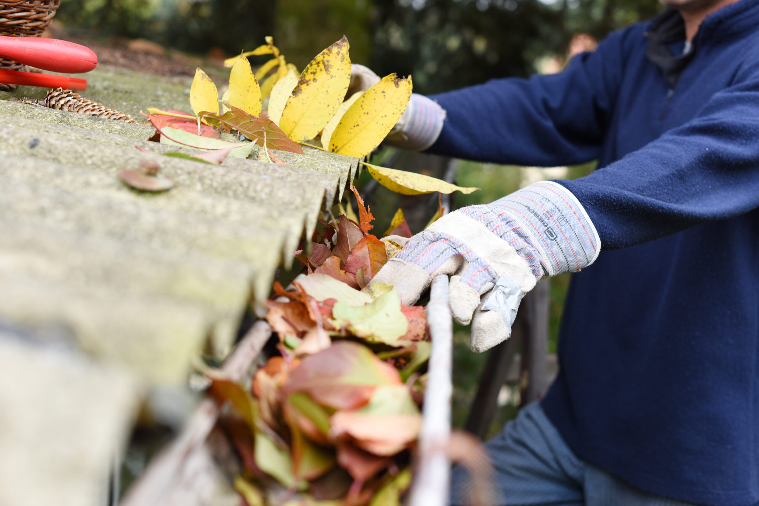 Fall Gutter Cleaning Tips for South Texas Homeowners